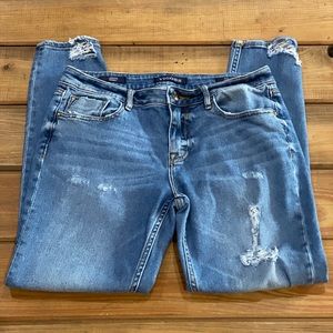 Vigoss Jagger Skinny Ankle Jeans